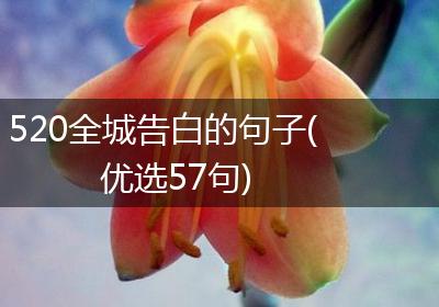 520全城告白的句子(优选57句)
