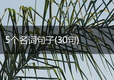 5个名词句子(30句)