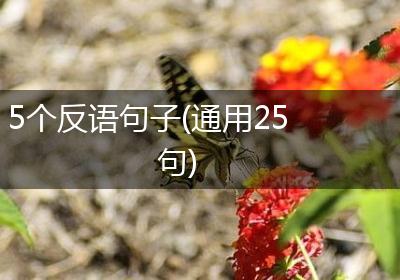 5个反语句子(通用25句)