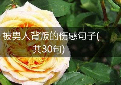 被男人背叛的伤感句子(共30句)