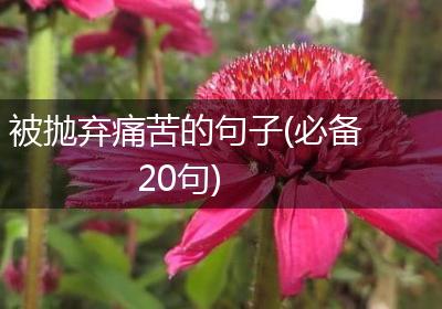 被抛弃痛苦的句子(必备20句)