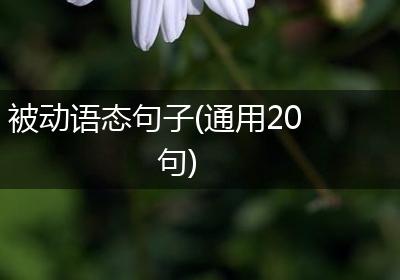 被动语态句子(通用20句)