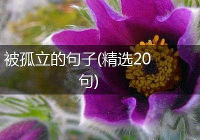 被孤立的句子(精选20句)