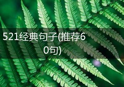 521经典句子(推荐60句)