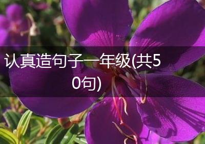 认真造句子一年级(共50句)