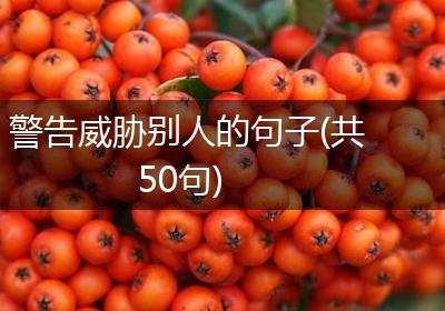 警告威胁别人的句子(共50句)