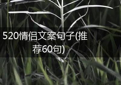 520情侣文案句子(推荐60句)
