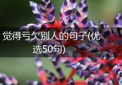 觉得亏欠别人的句子(优选50句)
