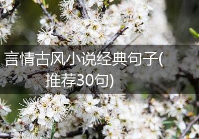 言情古风小说经典句子(推荐30句)