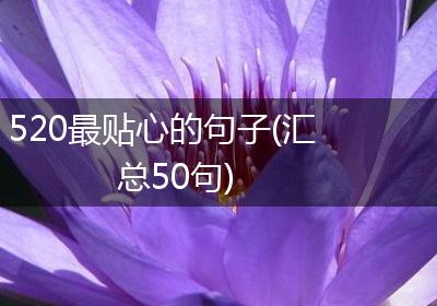 520最贴心的句子(汇总50句)