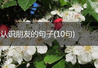 认识朋友的句子(10句)