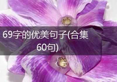 69字的优美句子(合集60句)