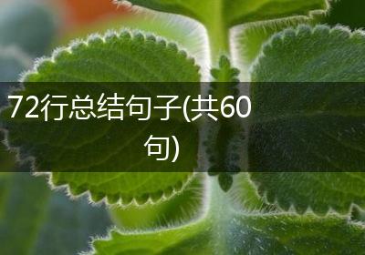 72行总结句子(共60句)