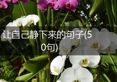 让自己静下来的句子(50句)