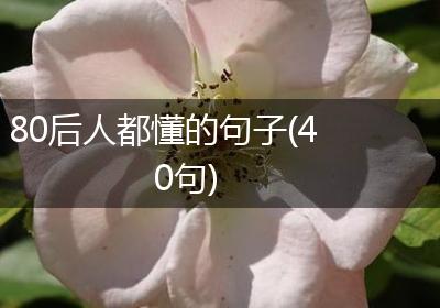 80后人都懂的句子(40句)