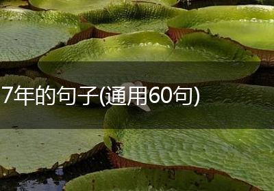 7年的句子(通用60句)