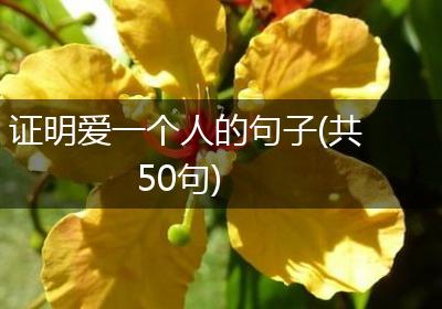 证明爱一个人的句子(共50句)