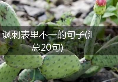 讽刺表里不一的句子(汇总20句)