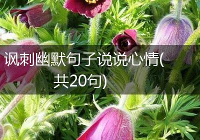 讽刺幽默句子说说心情(共20句)