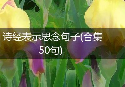 诗经表示思念句子(合集50句)
