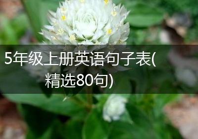 5年级上册英语句子表(精选80句)