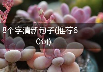 8个字清新句子(推荐60句)