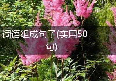 词语组成句子(实用50句)
