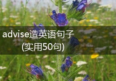 advise造英语句子(实用50句)