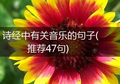 诗经中有关音乐的句子(推荐47句)