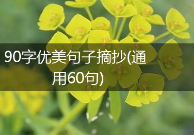 90字优美句子摘抄(通用60句)