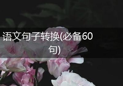 语文句子转换(必备60句)