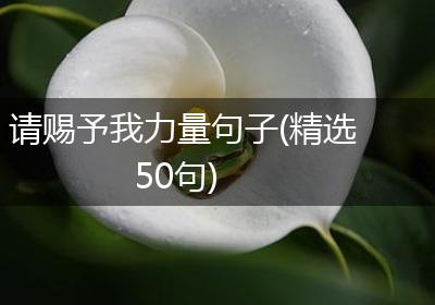 请赐予我力量句子(精选50句)