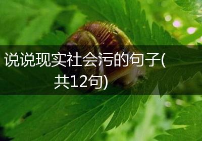 说说现实社会污的句子(共12句)