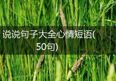 说说句子大全心情短语(50句)