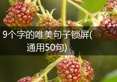 9个字的唯美句子锁屏(通用50句)
