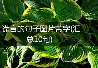 谎言的句子图片带字(汇总10句)