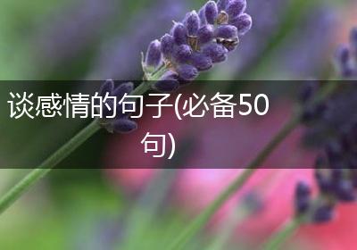 谈感情的句子(必备50句)