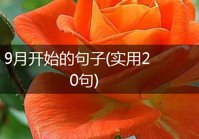 9月开始的句子(实用20句)
