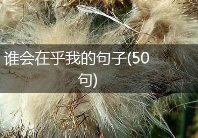 谁会在乎我的句子(50句)