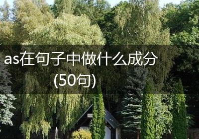 as在句子中做什么成分(50句)