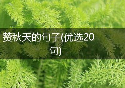 赞秋天的句子(优选20句)