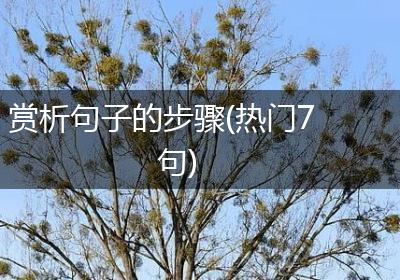 赏析句子的步骤(热门7句)