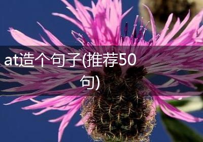 at造个句子(推荐50句)