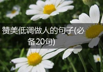 赞美低调做人的句子(必备20句)