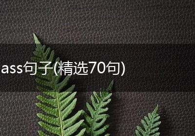 ass句子(精选70句)