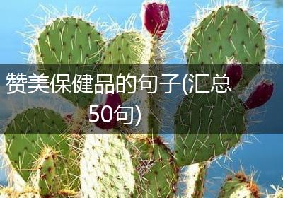 赞美保健品的句子(汇总50句)