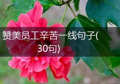 赞美员工辛苦一线句子(30句)