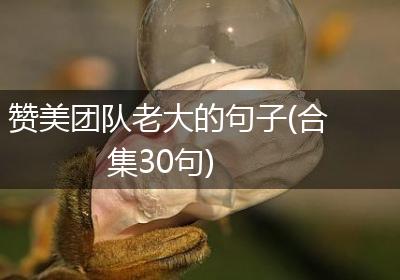 赞美团队老大的句子(合集30句)