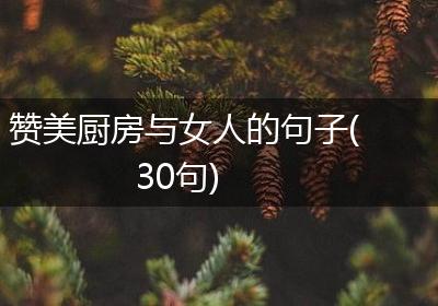 赞美厨房与女人的句子(30句)