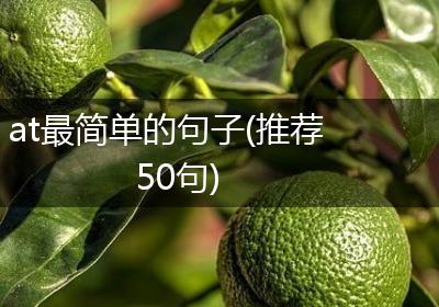 at最简单的句子(推荐50句)